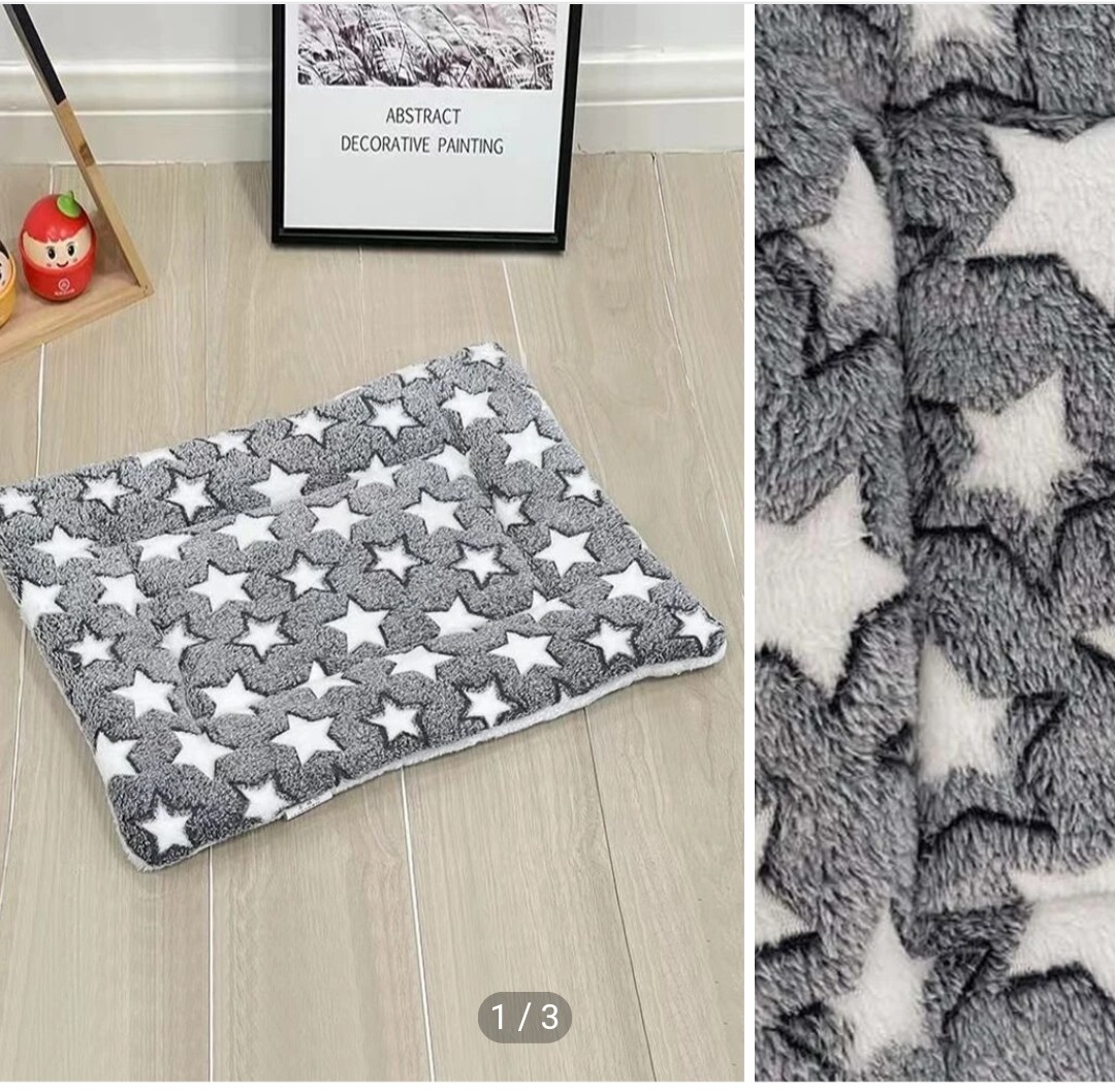 Dog Accessories